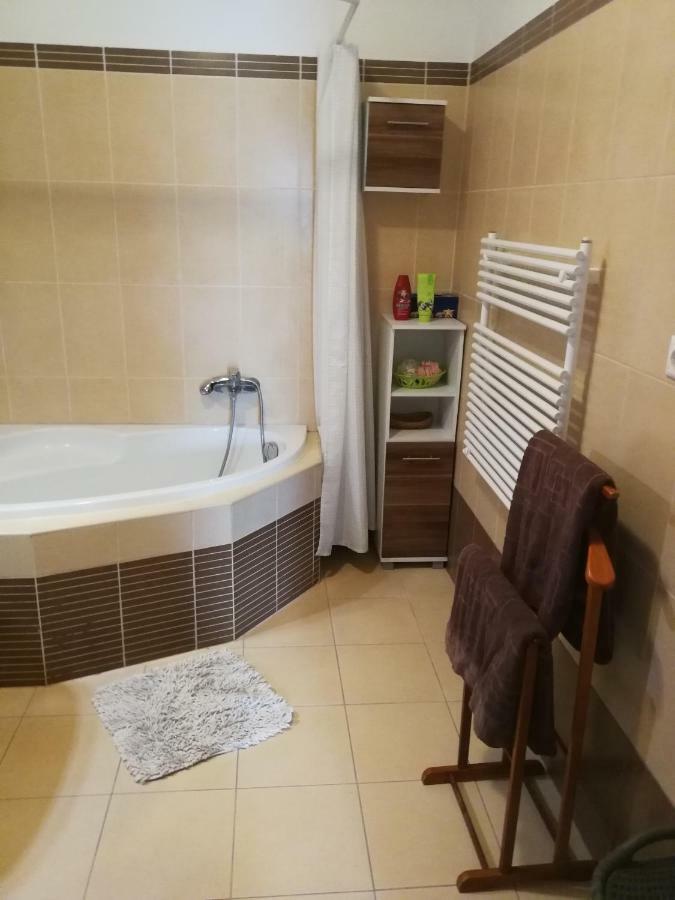 Tisza Parti Luxus Apartman Apartman Szeged Kültér fotó